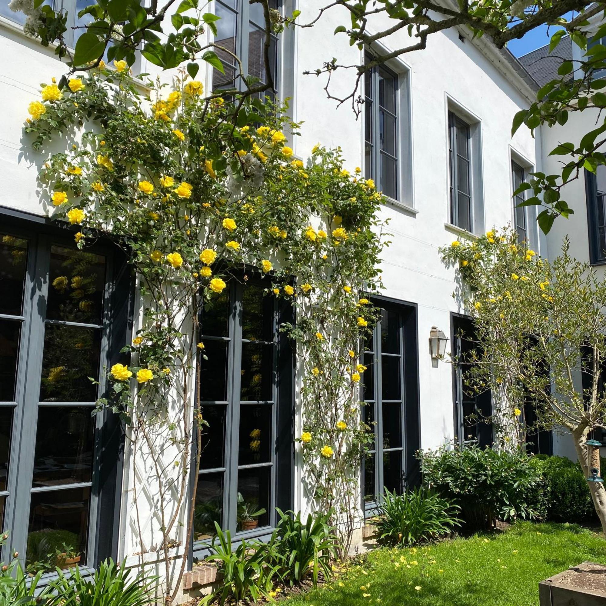 Côté Baie Bed and Breakfast Saint-Valery-sur-Somme Exterior foto